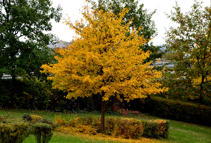 2. Den Schneidetermin planen