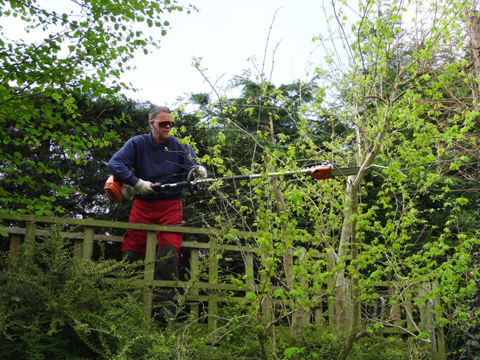 4. Besonders dicke Äste kappen