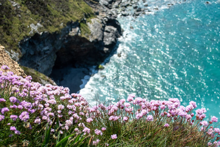 Von Natur aus winterhart