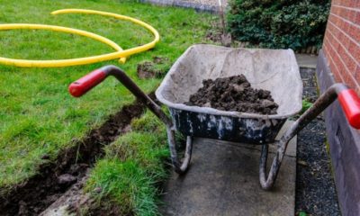 Drainage im Garten verlegen