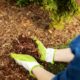Mulch richtig einsetzen