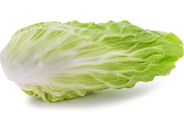 Zuckerhutsalat pflanzen