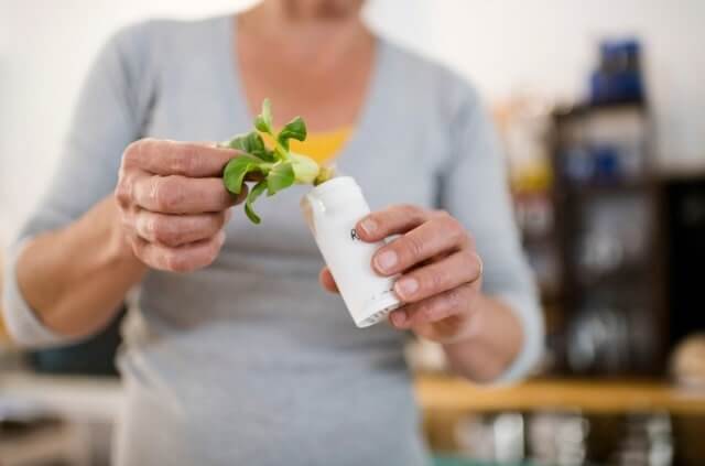 Bewurzelungspulver verwenden