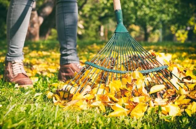 Herbstlaub verwenden