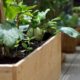Gemüsebeet auf der Terrasse anlegen - Ratgeber