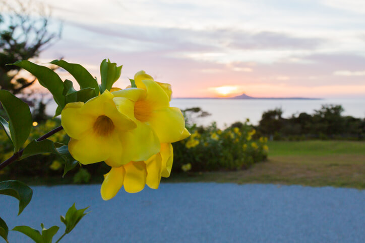 Ein Platz an der Sonne