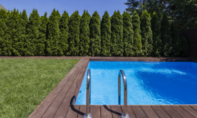 Swimmingpool in Garten integrieren