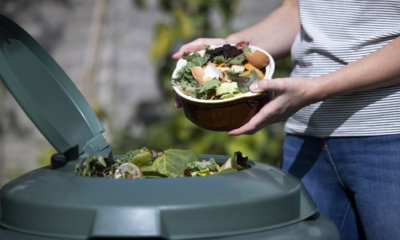 Was darf in den Kompost
