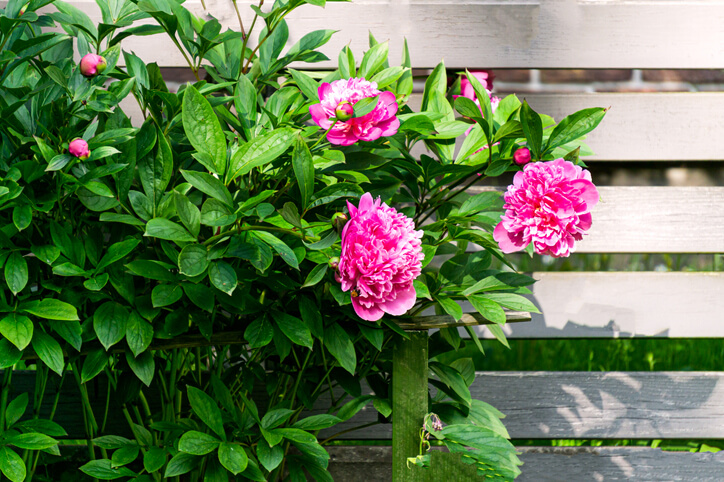 Folgende Attribute zeichnen den optimalen Standort aus