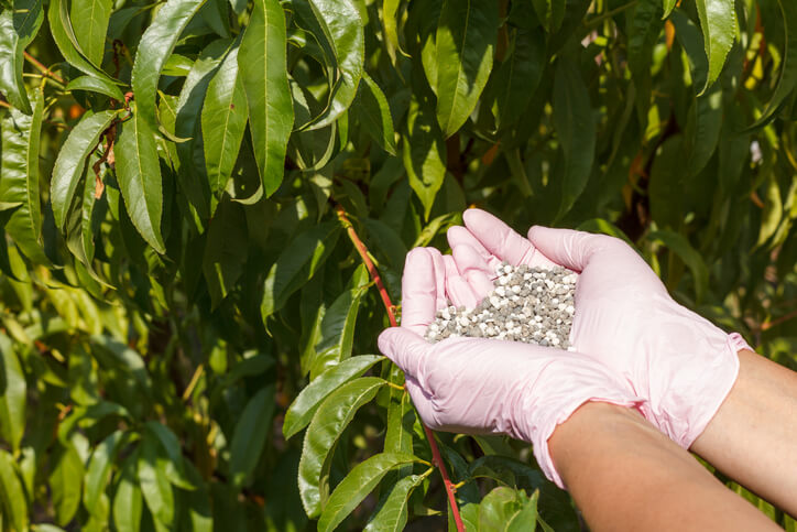 Prävention  Kontrolle