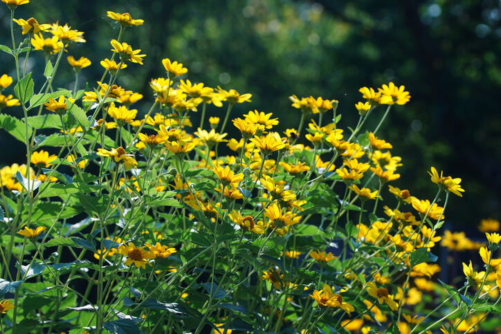 Der optimale Standort