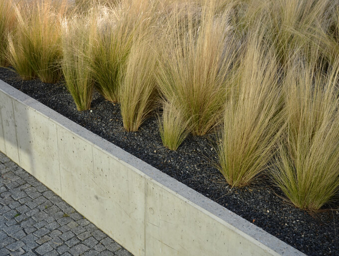 Der richtige Zeitpunkt zum Schneiden