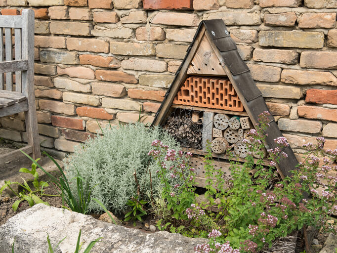 Insektenhotel auf dem Balkon
