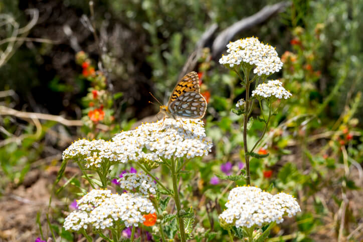 Staunässe vermeiden