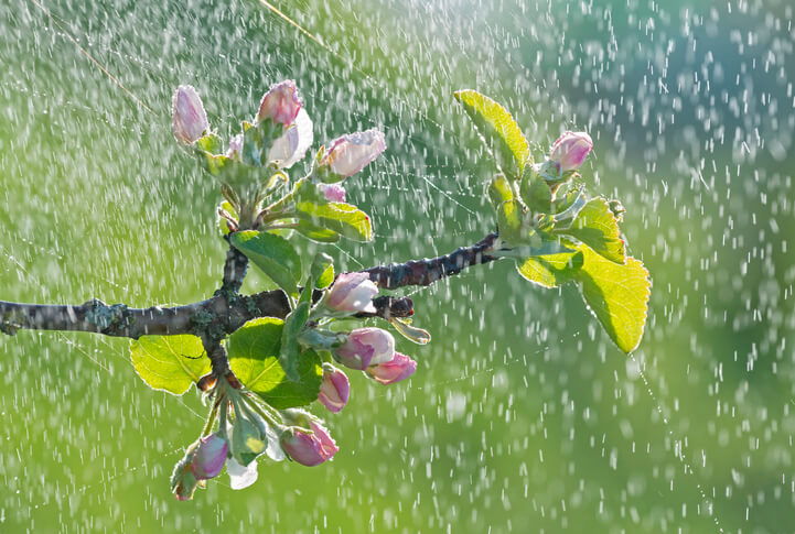 Stressfaktor Klimawandel