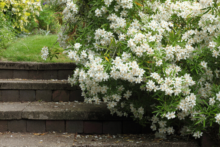 Standort und Substrat