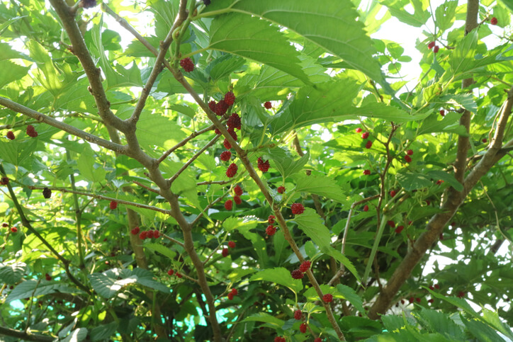 Der optimale Standort