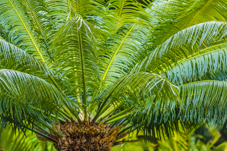 Der perfekte Schnitt