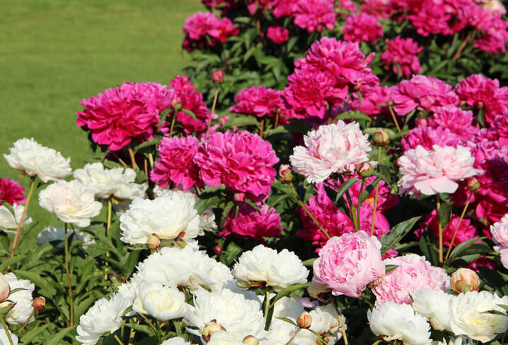 Der perfekte Standort