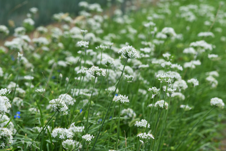 Der richtige Standort