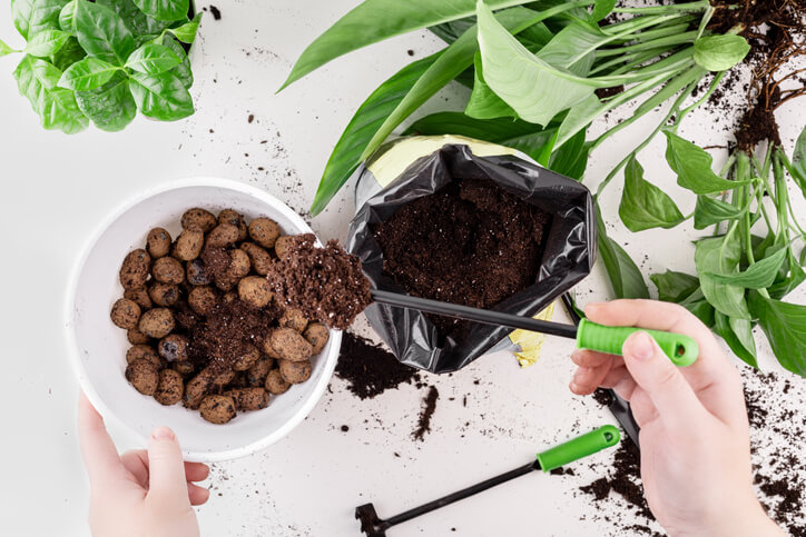 Düngen in der Wachstumszeit