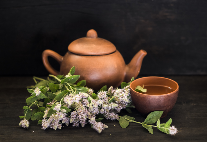 Kann die Katzenminze bedenkenlos verzehrt werden