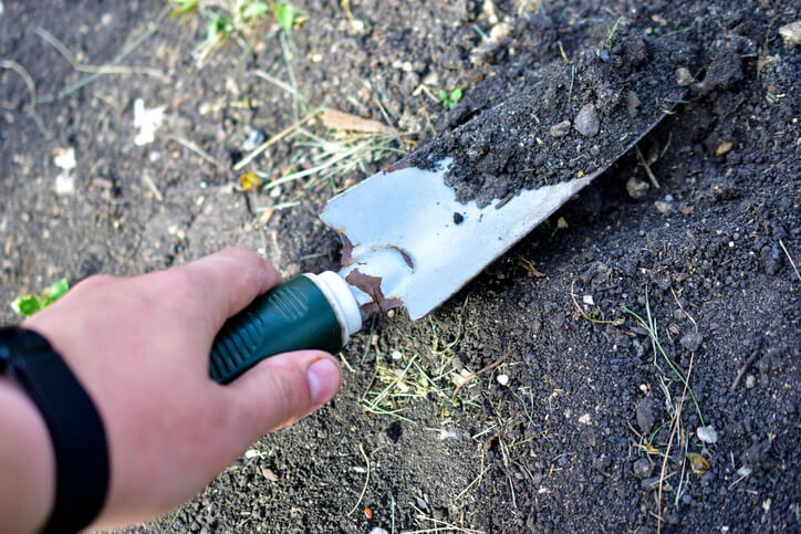 Löcher nach dem Ausstechen füllen