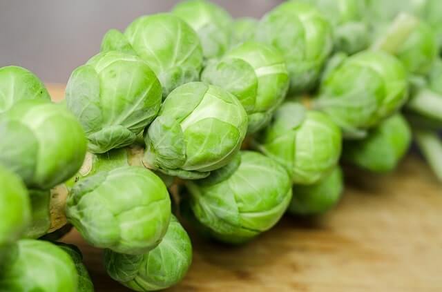 Rosenkohl säen und ernten