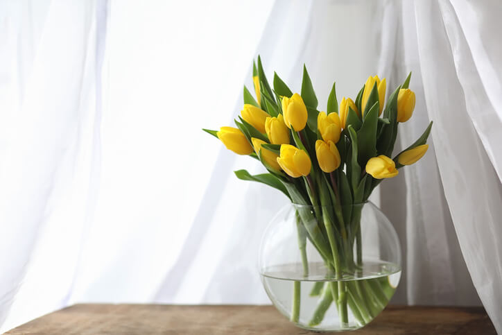 Tulpen als hübscher Blickfang in der Vase