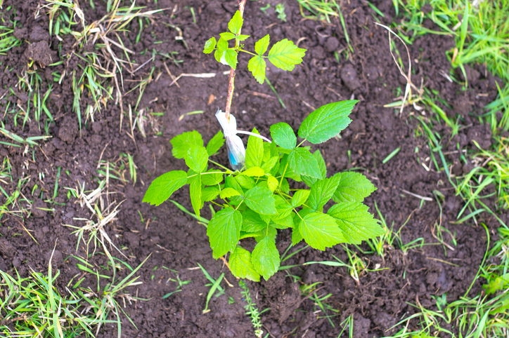 Zur richtigen Zeit am richtigen Ort