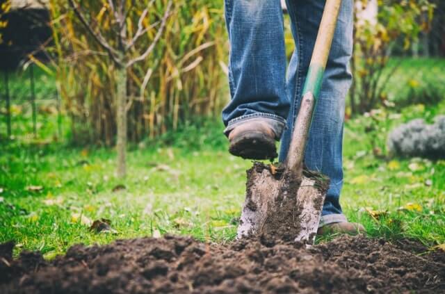 Beet selber bauen - Anleitung und Ideen
