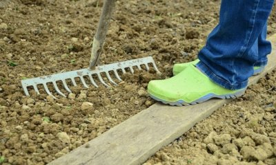 Das Beet im Frühling richtig vorbereiten