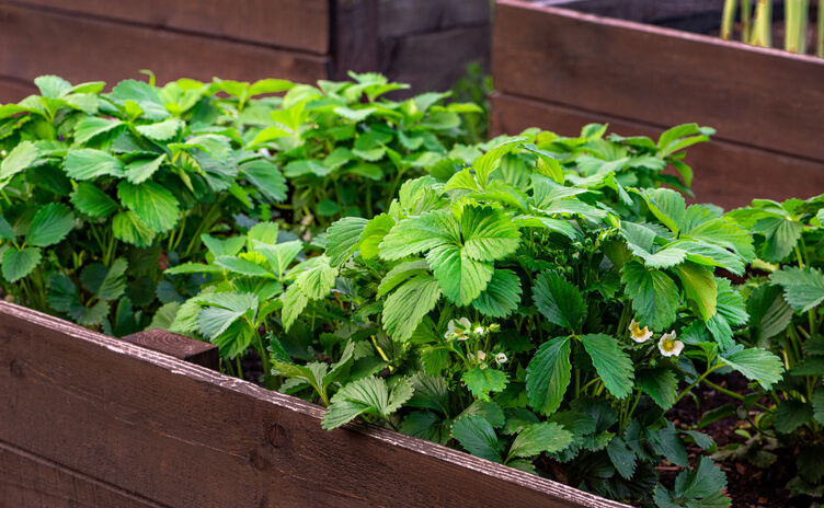 Das Hochbeet vorbereiten