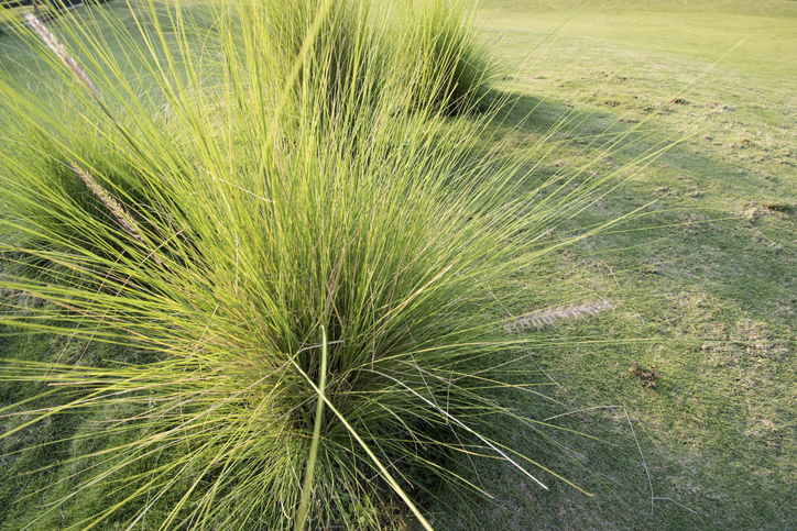 Das Pflanzen an sich Worauf muss ich achten