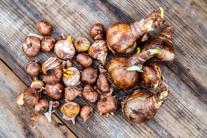 Der richtige Ort für die Aufbewahrung