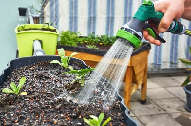 Echten Rasen auf dem Balkon anlegen