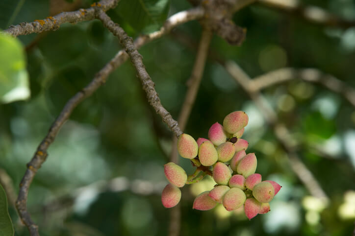 Einen geeigneten Standort wählen