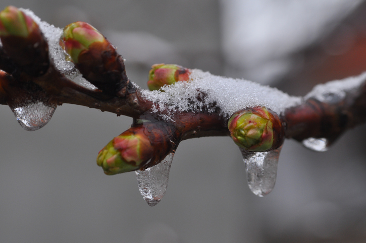 Gefährdungen im Winter