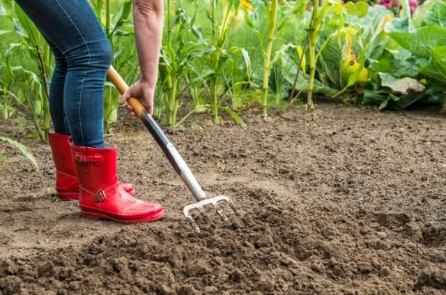Gemüsebeet im Herbst anlegen