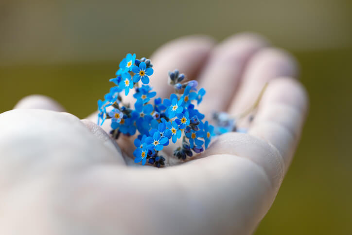 Geringe Menge an Giftstoffen