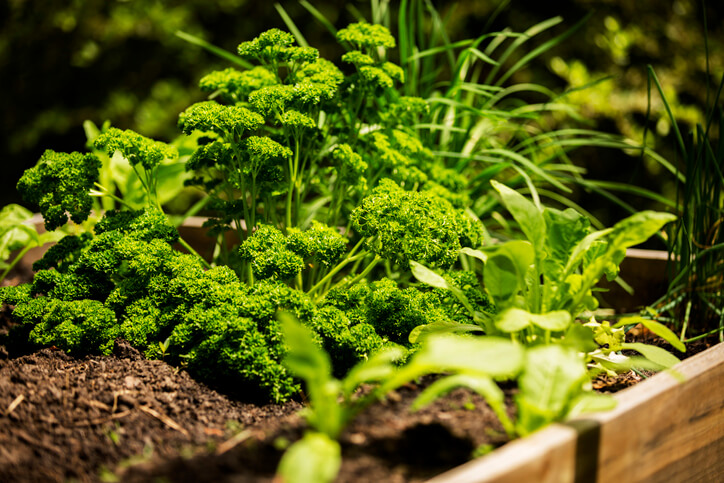 Gute Partner, schlechte Partner