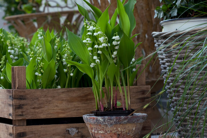 Im Garten gelten andere Regeln