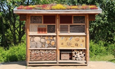 Insektenhotel aus Dosen bauen