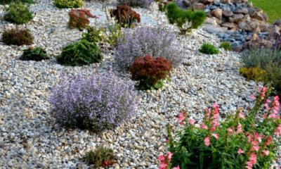 Kiesbeet gestalten - Anleitung und Tipps