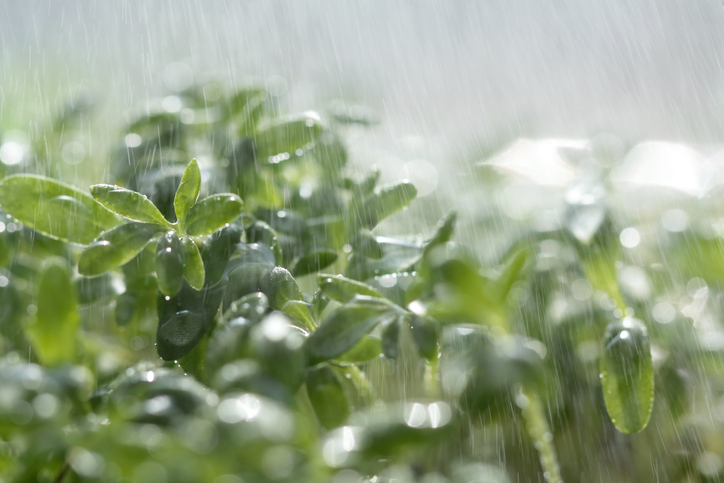 Mögliche Ursachen für Schimmel