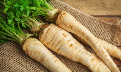 Pastinaken ernten und lagern