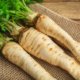 Pastinaken ernten und lagern