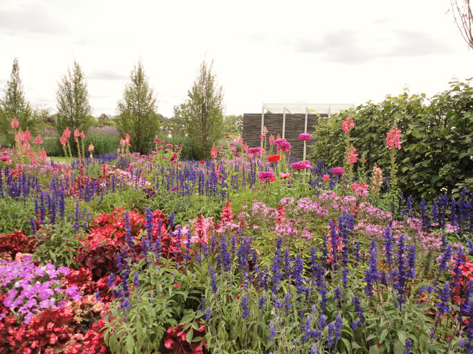 Pflanzung und Vermehrung