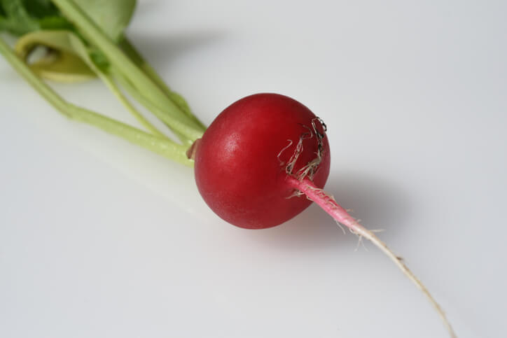 Radieschen - der kleine Bruder des Rettichs 