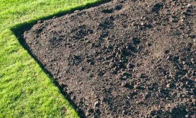 Rasenmähkante verlegen - kurze Anleitung